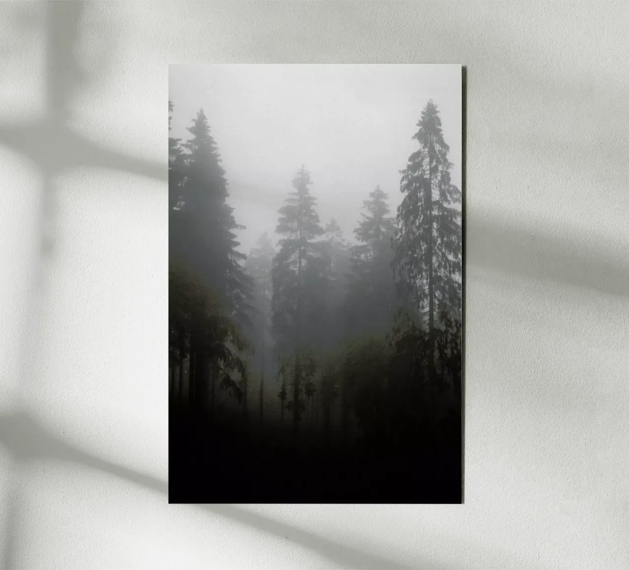 Where forex plate by Jan Luzar