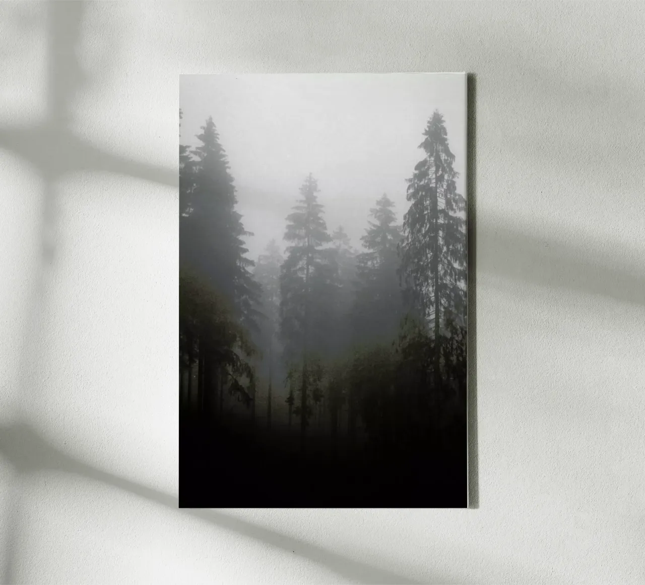 Where tela da Jan Luzar