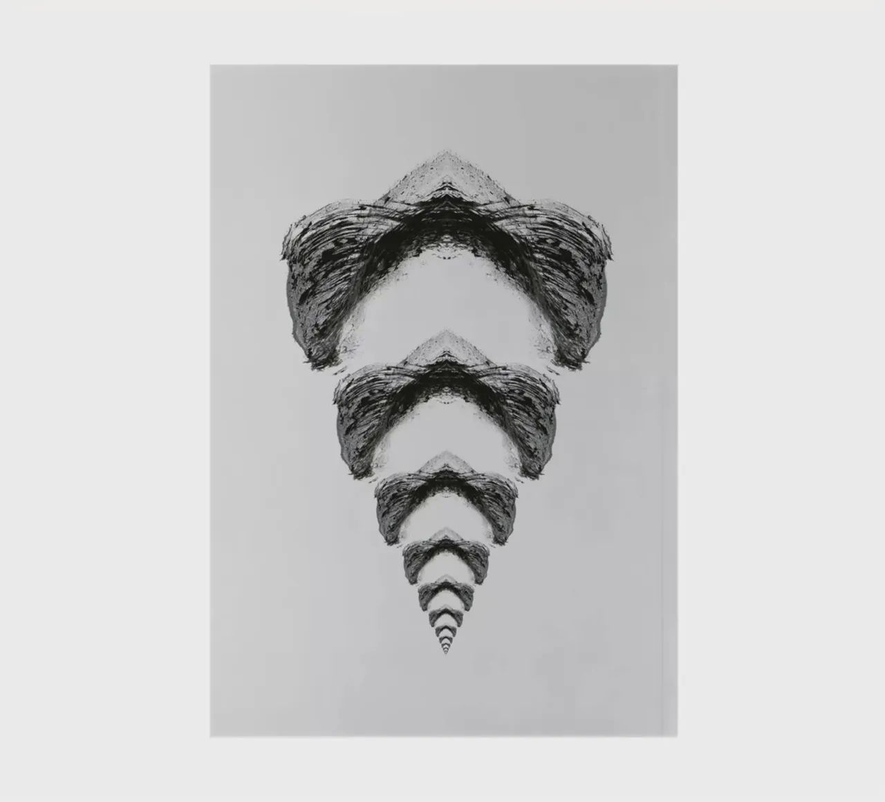 Continuum notebook by Bryon S. White