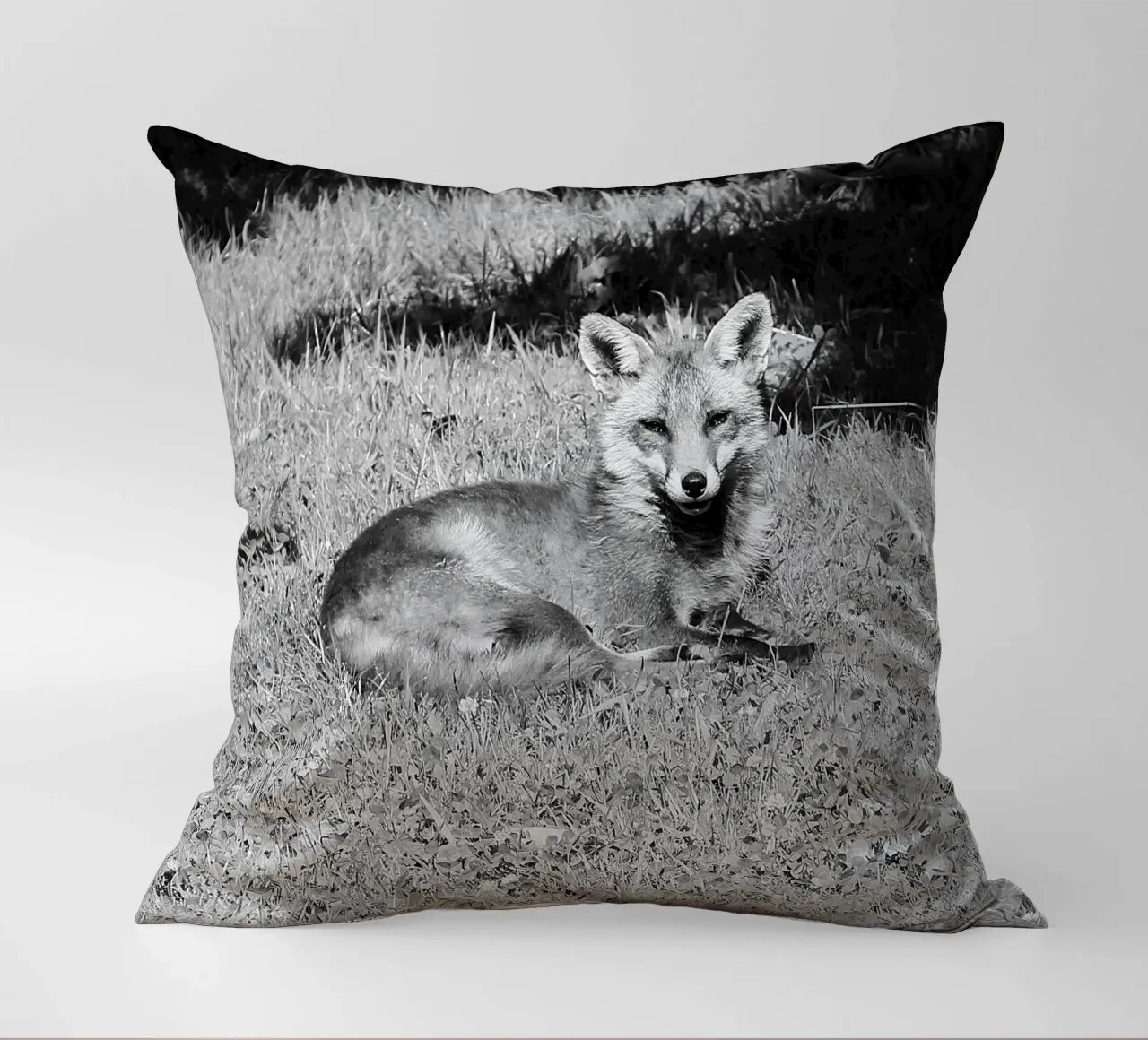 Peanut the fox cuscino da DragonFly