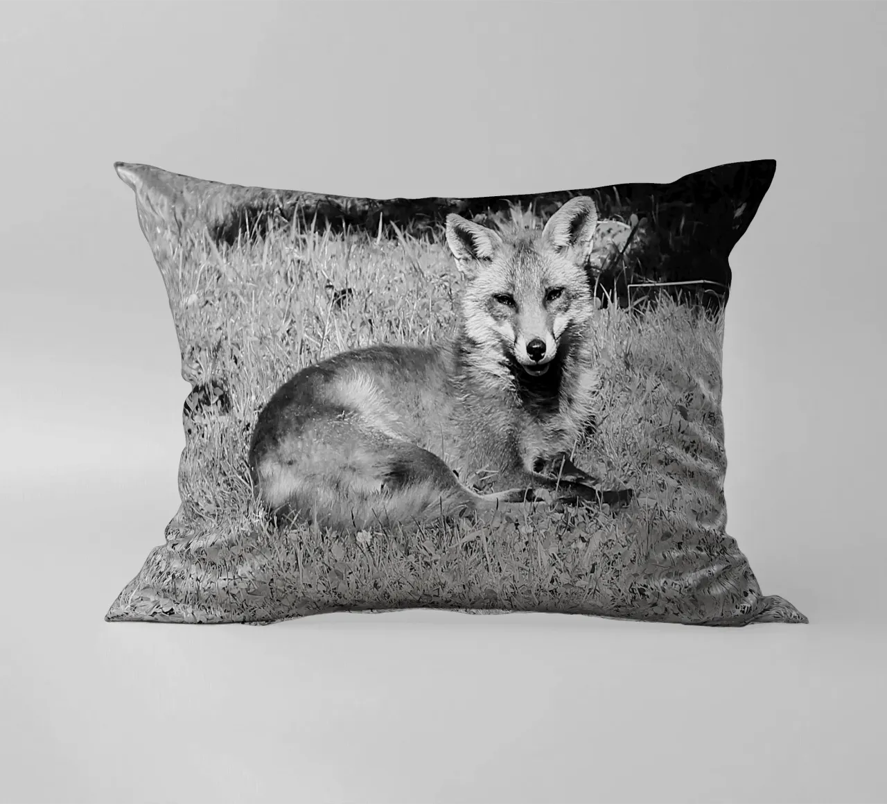 Peanut the fox cuscino da DragonFly