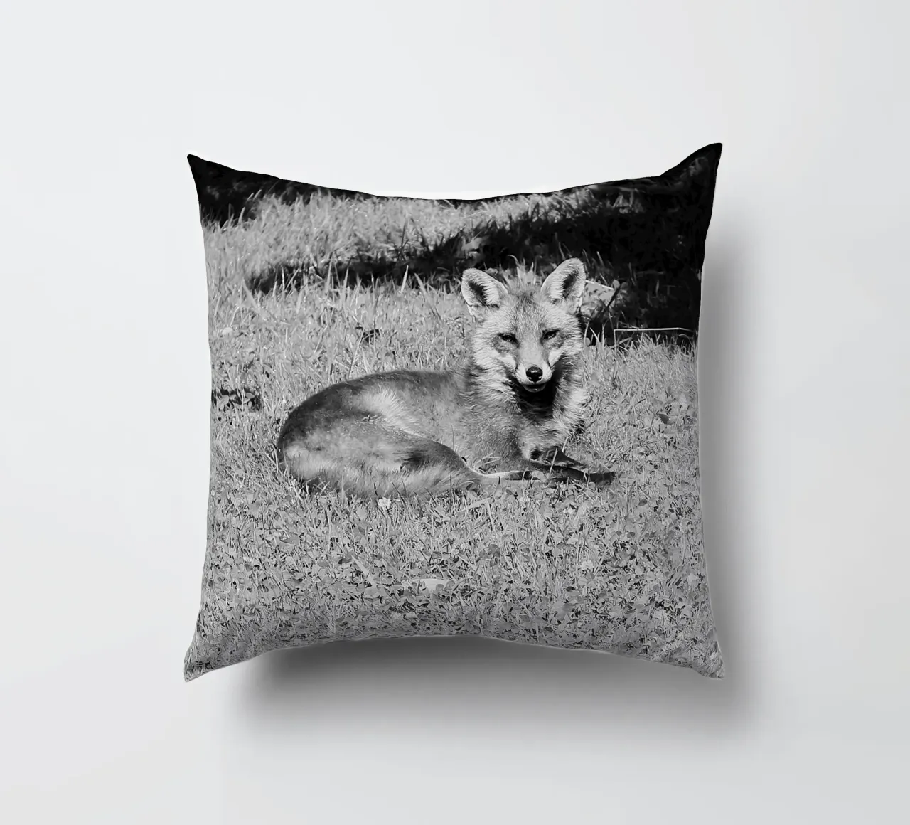Peanut the fox cuscino da DragonFly