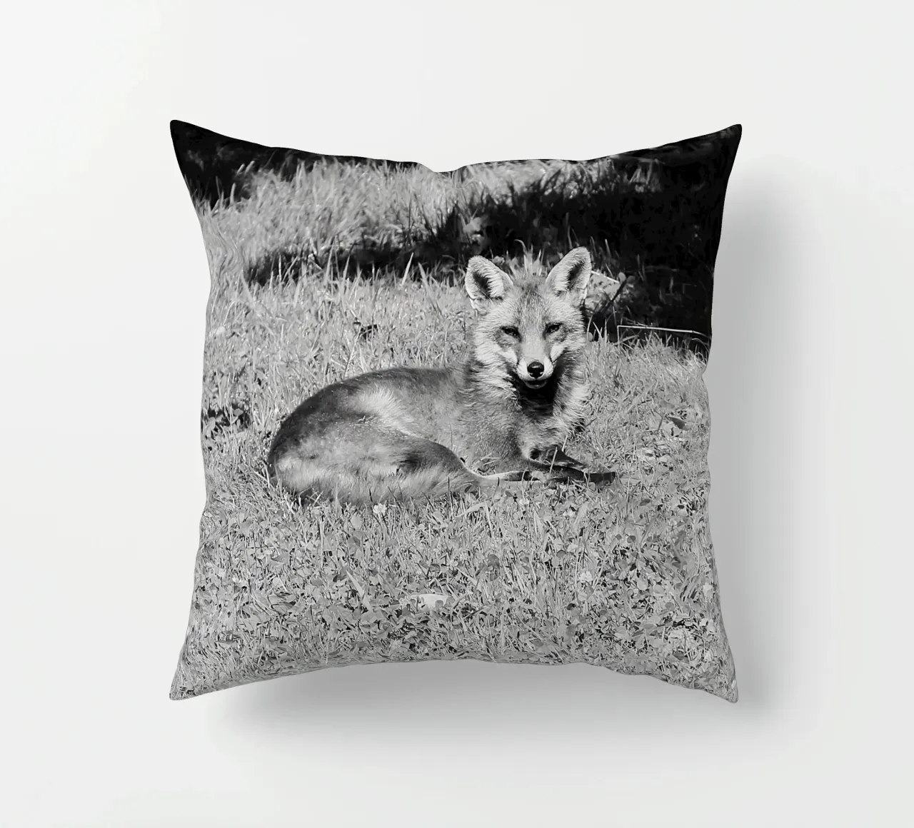 Peanut the fox cuscino da DragonFly