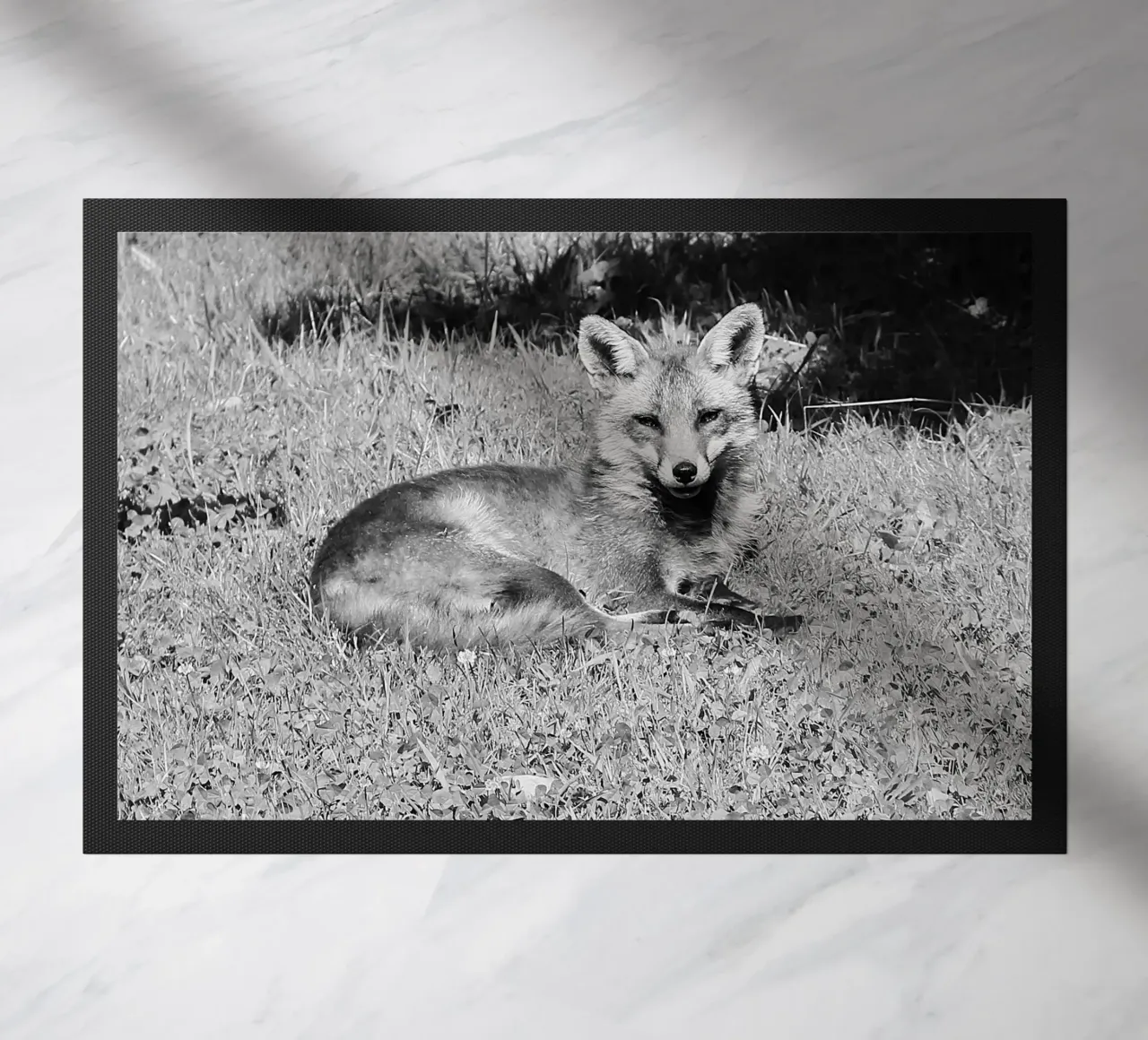 Peanut the fox zerbino da DragonFly