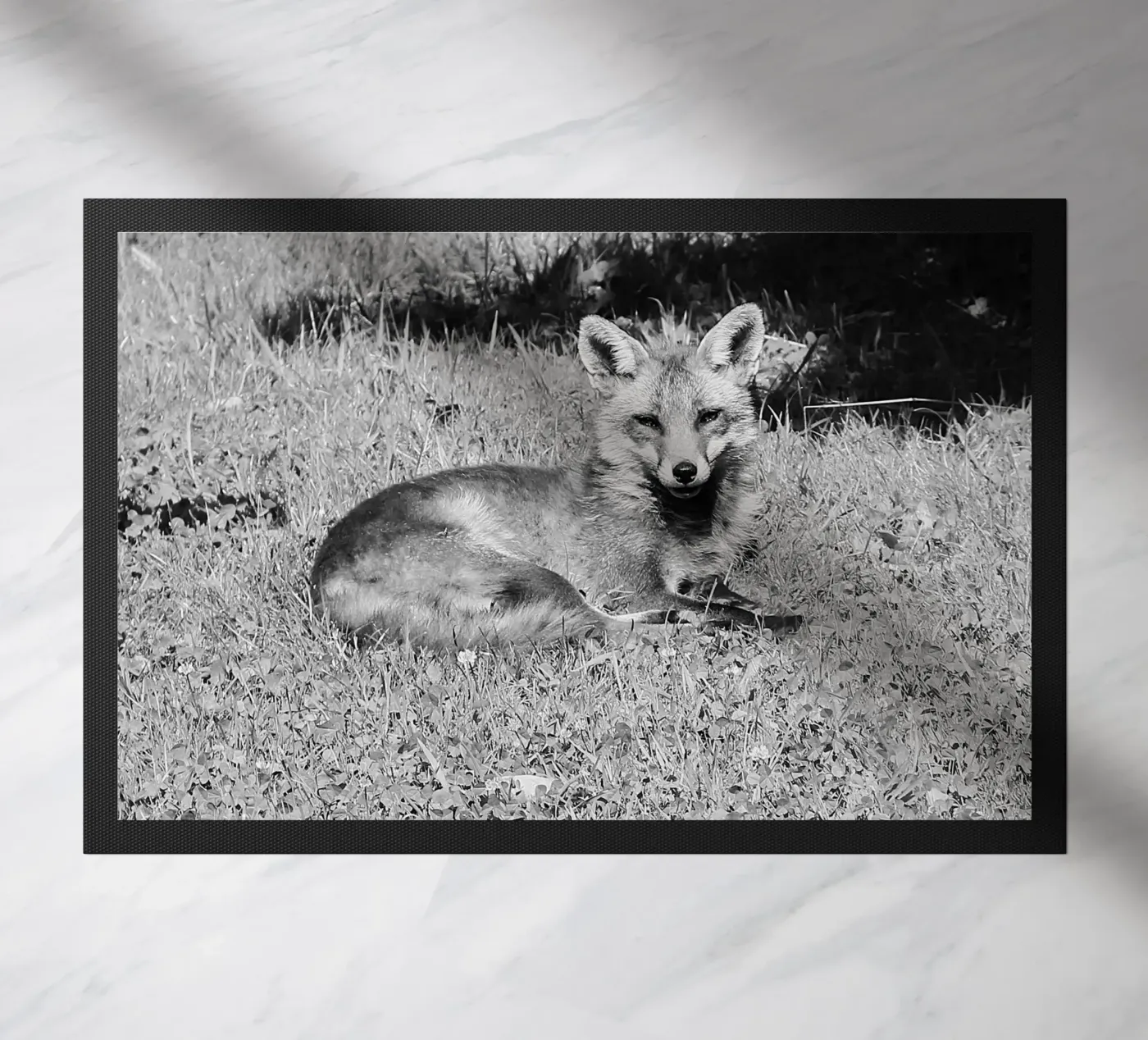 Peanut the fox zerbino da DragonFly