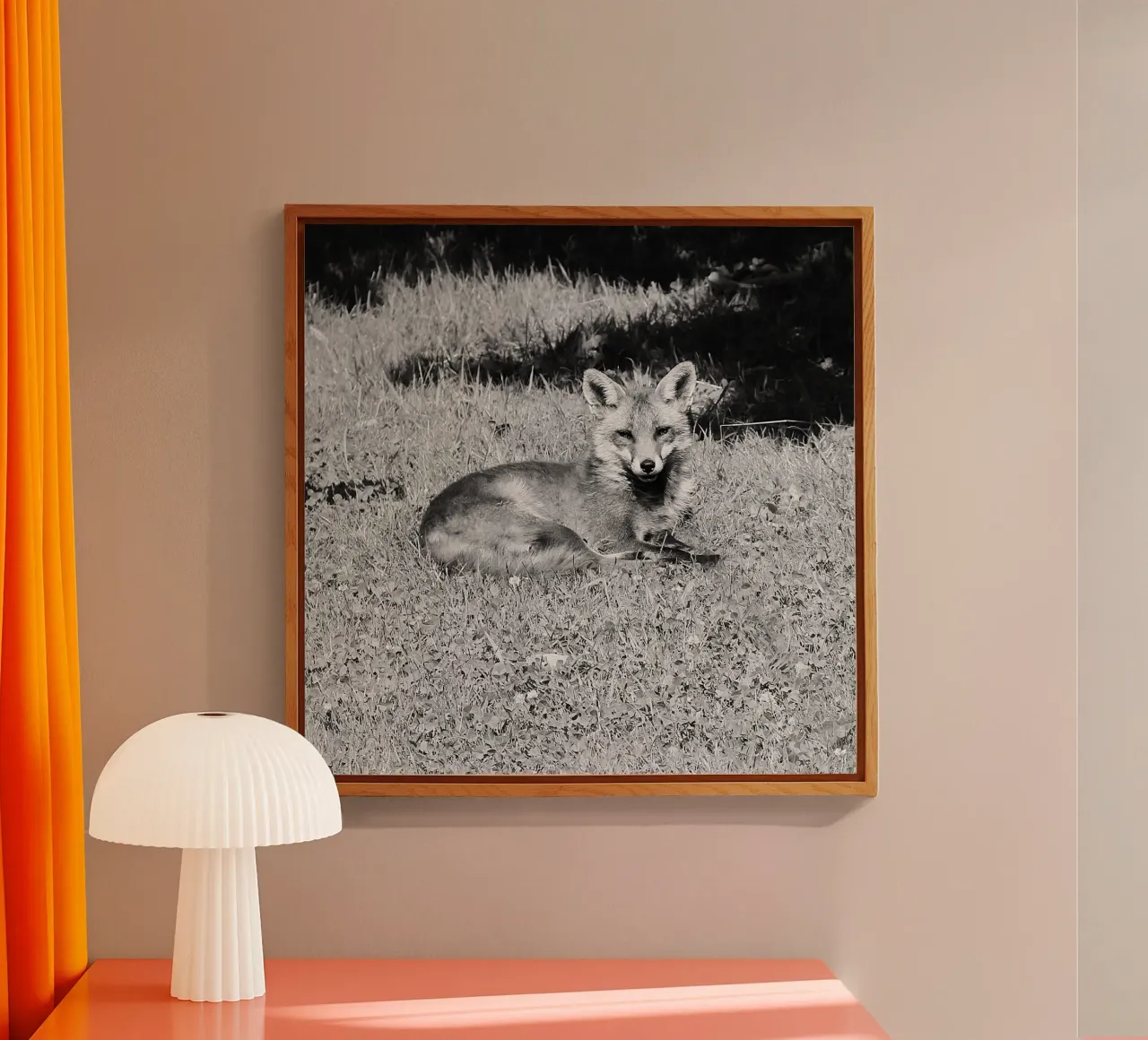 Peanut the fox plexiglass da DragonFly