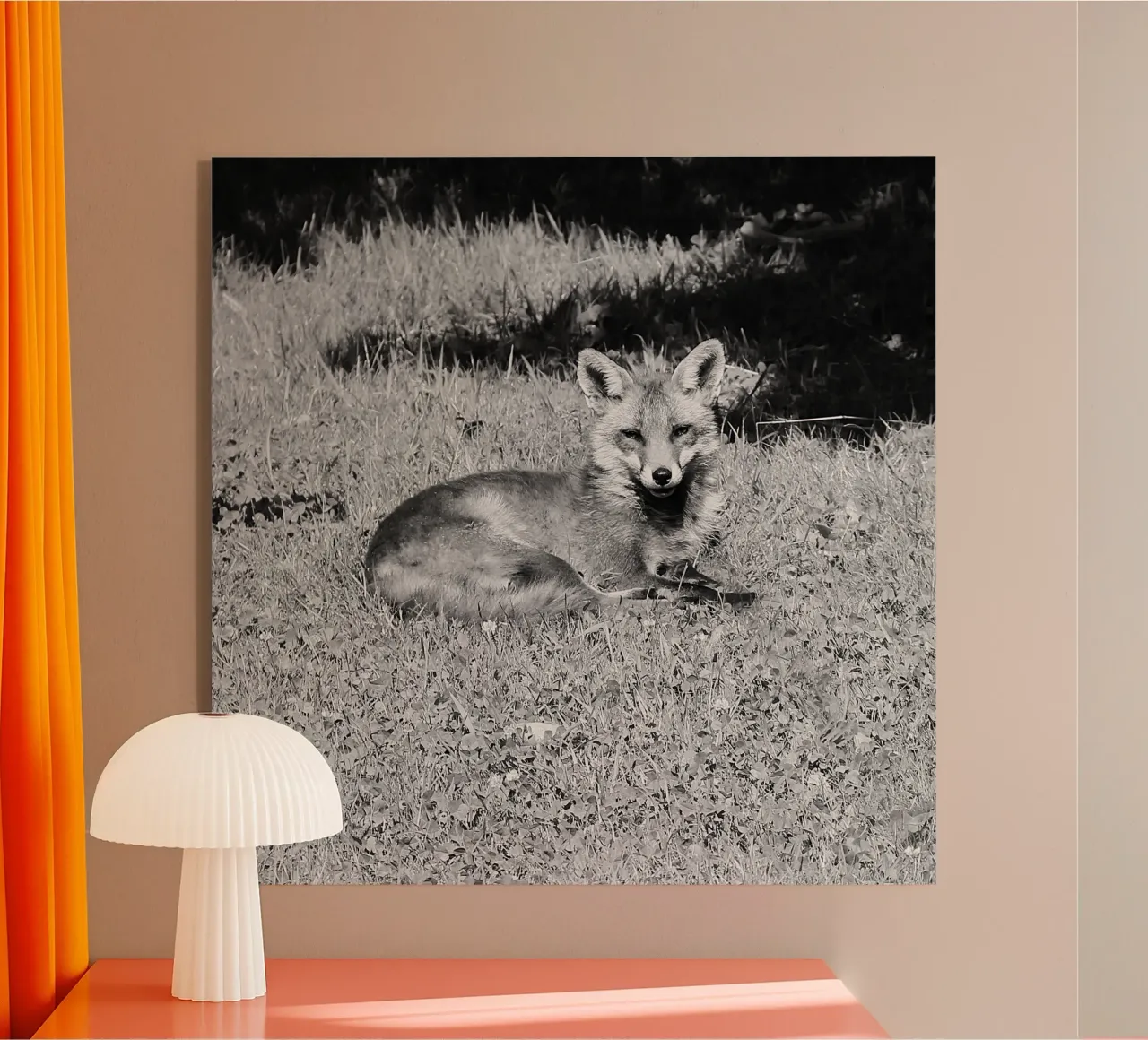 Peanut the fox plexiglass da DragonFly