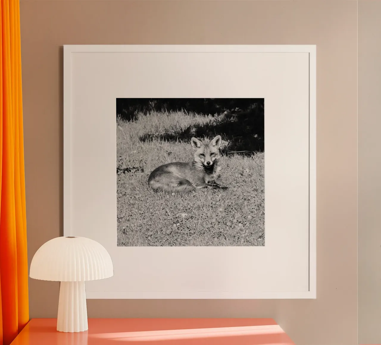 Peanut the fox carta hahnemühle da DragonFly
