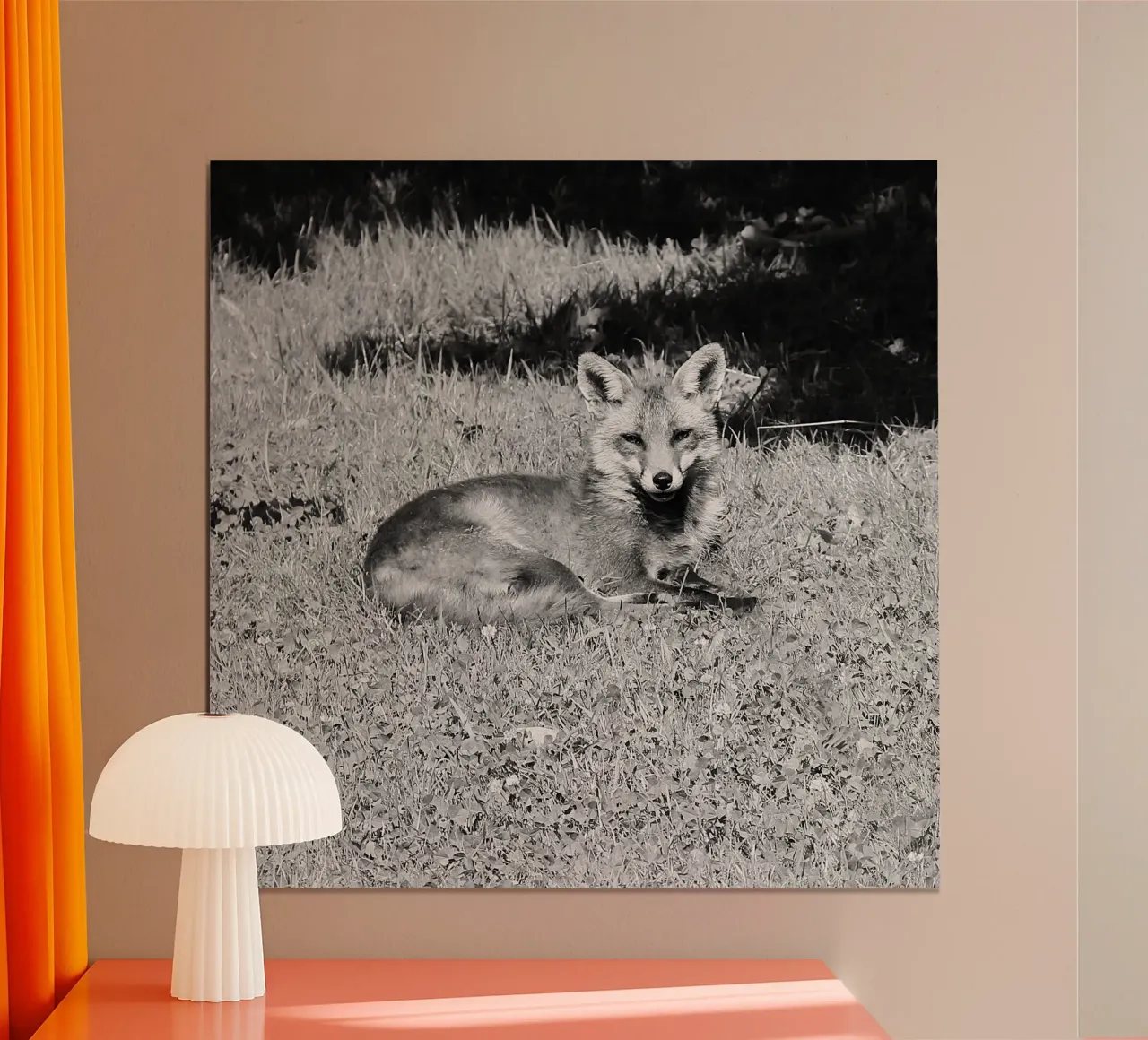 Peanut the fox poster da DragonFly