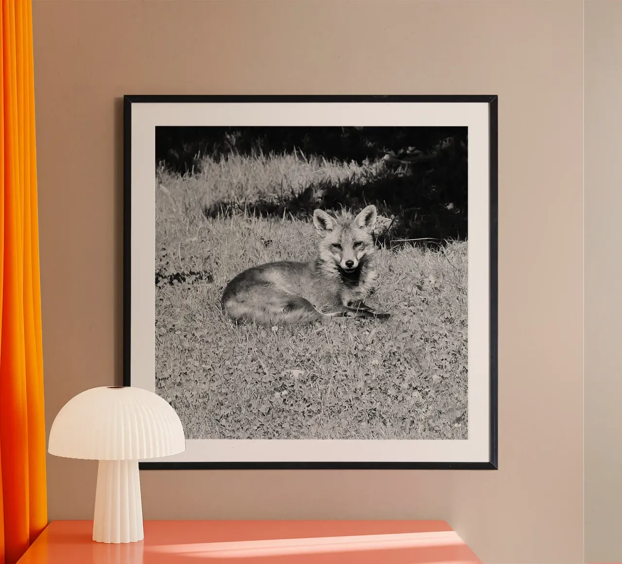 Peanut the fox poster da DragonFly