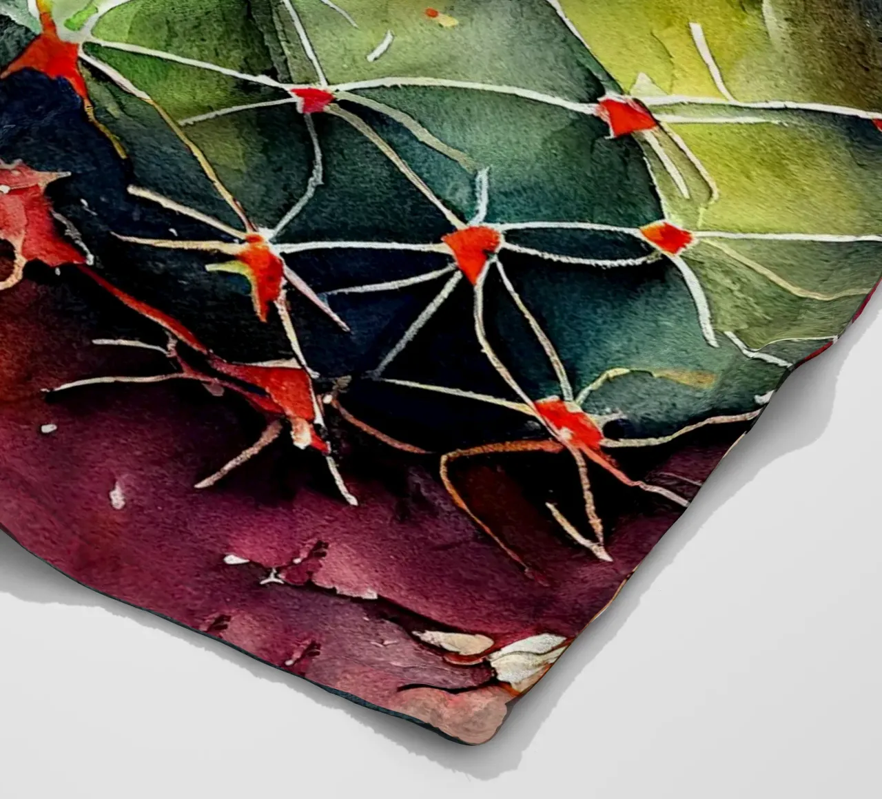 l'arte delle piante grasse e dei cactus coperta in pile da Justyna Jaszke JBJart