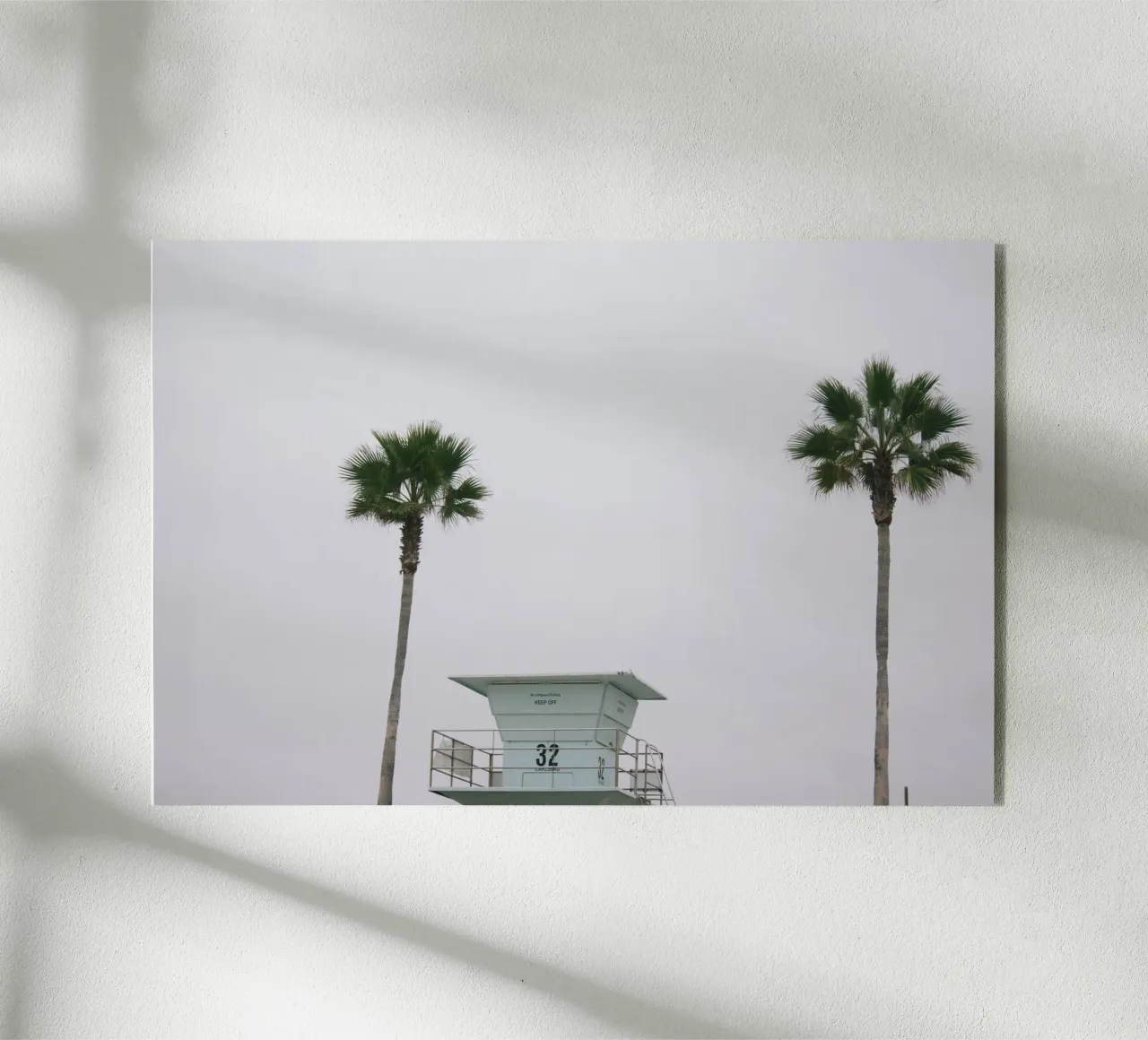 Lifeguard unter Palmen plexiglass da The Wild Creative Studio