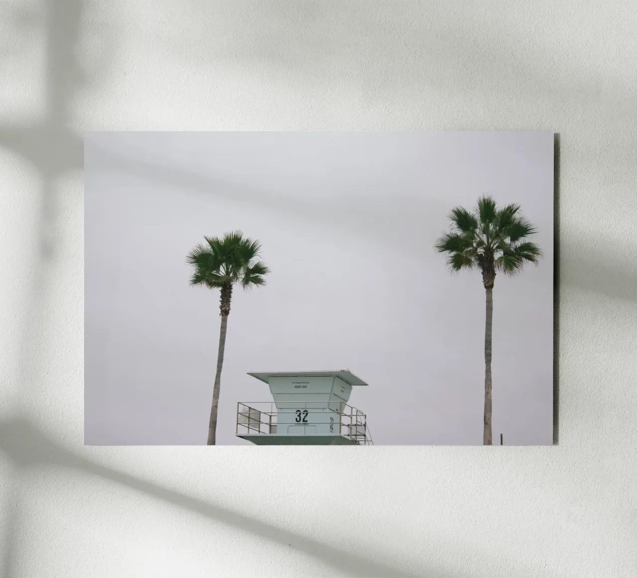Lifeguard unter Palmen alluminio dibond da The Wild Creative Studio