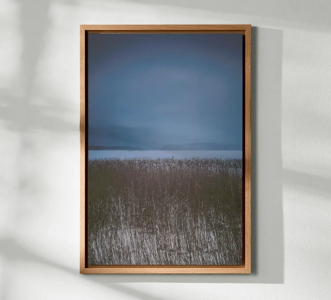 The Reeds alluminio dibond da Pale Grain