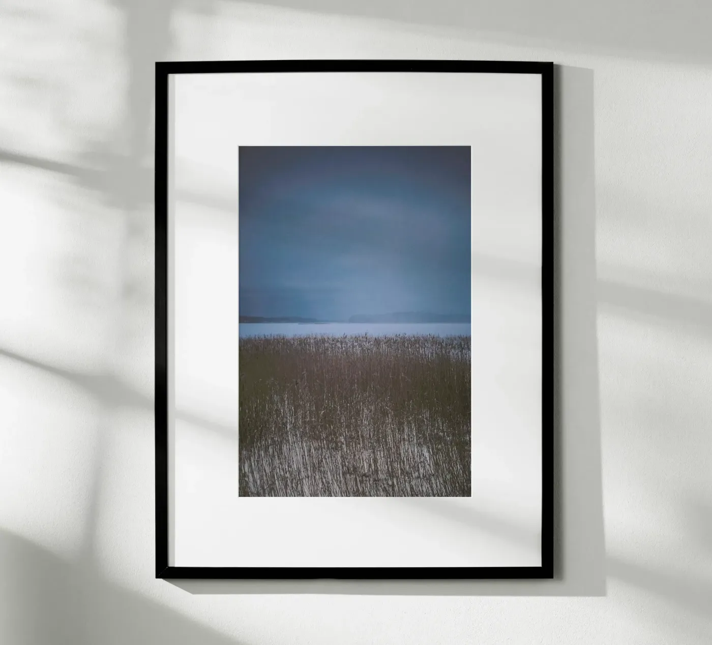 The Reeds poster da Pale Grain