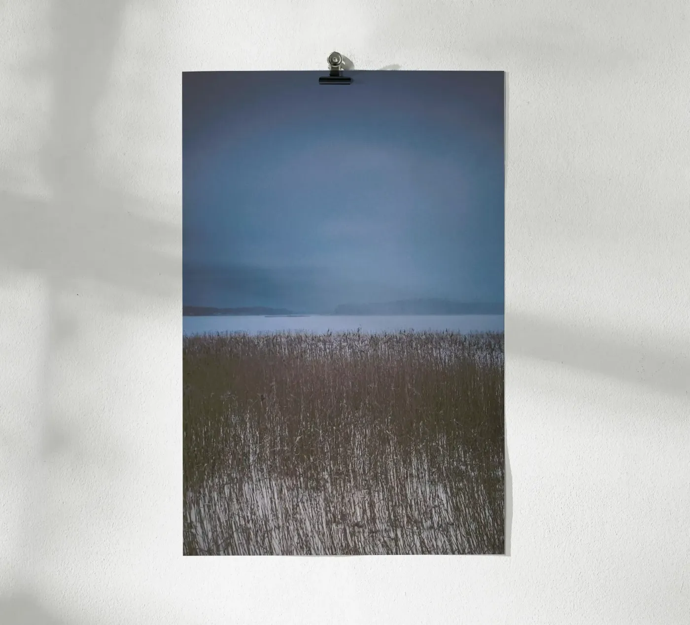 The Reeds poster da Pale Grain