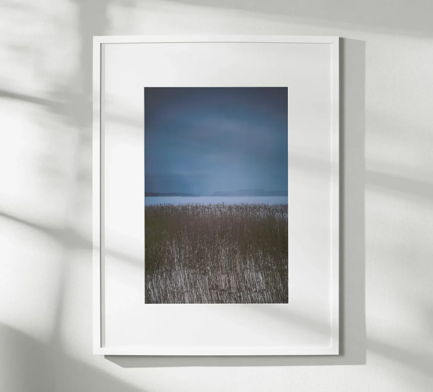 The Reeds poster da Pale Grain
