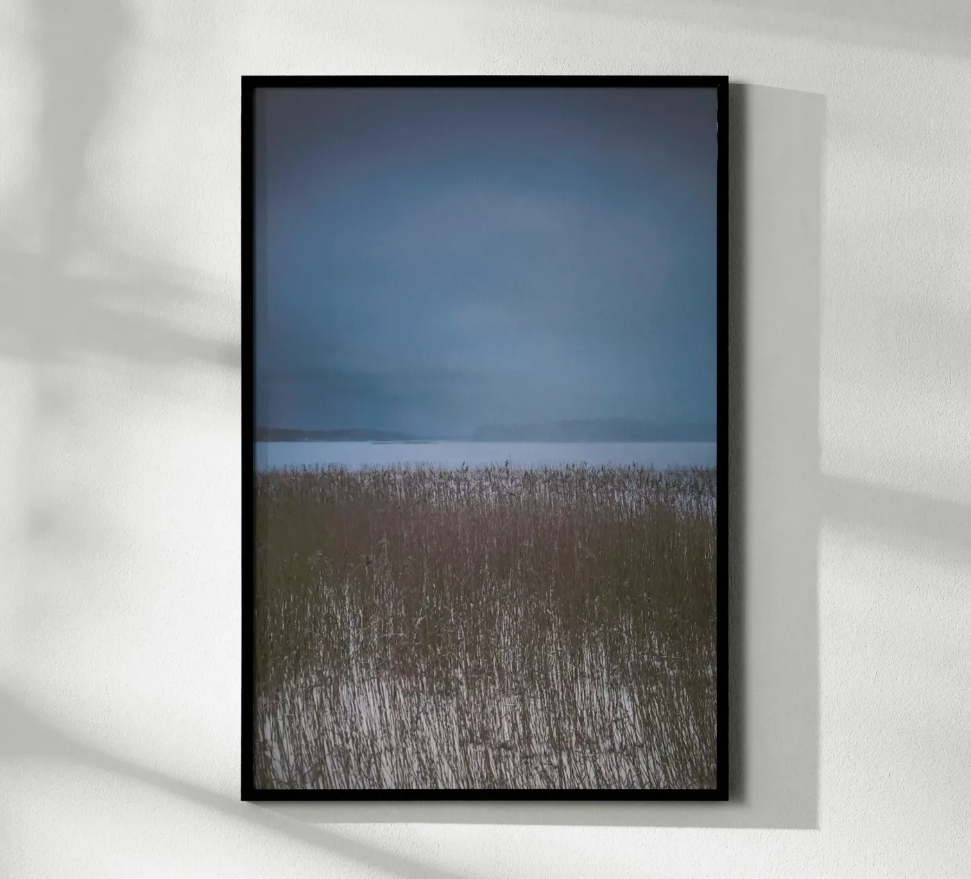 The Reeds poster da Pale Grain