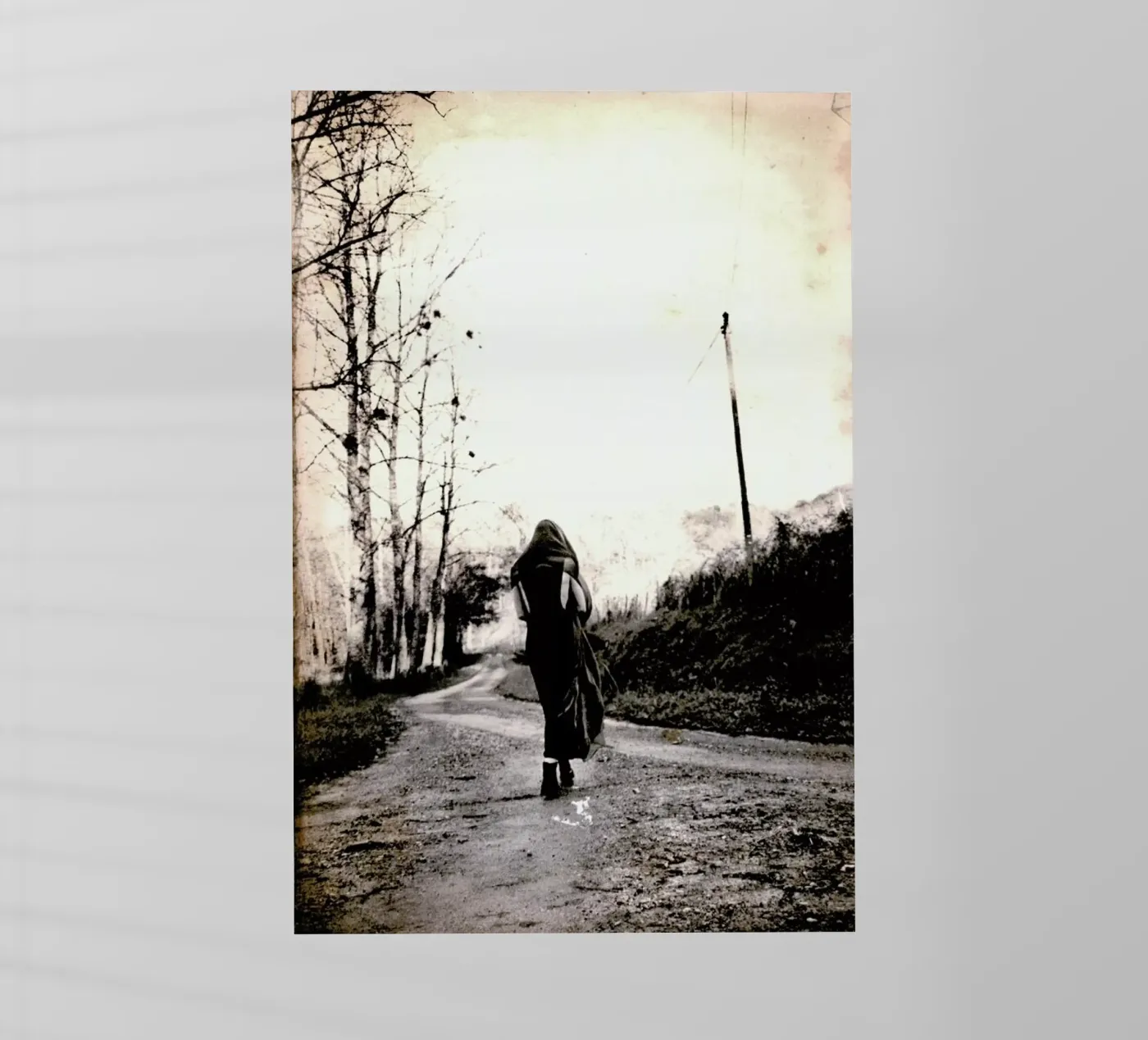 Pop Off pellicola backlit da Sophie Etchart