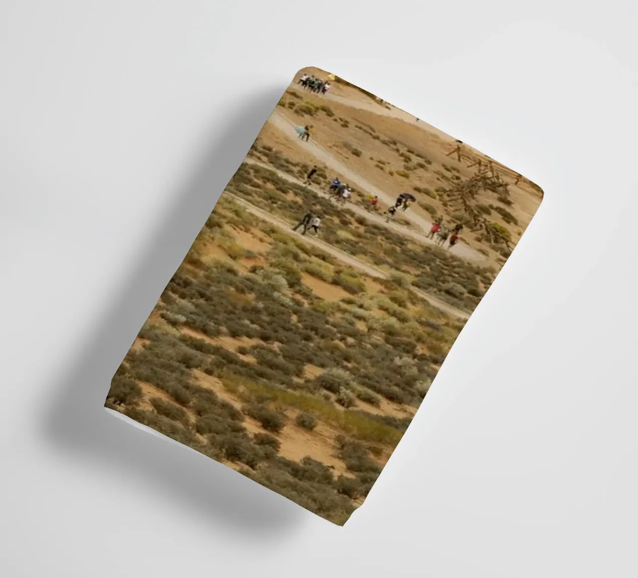 Path to Horseshoe Canyon in the US state of Utah towel by Barbara Buderath Fotodesign