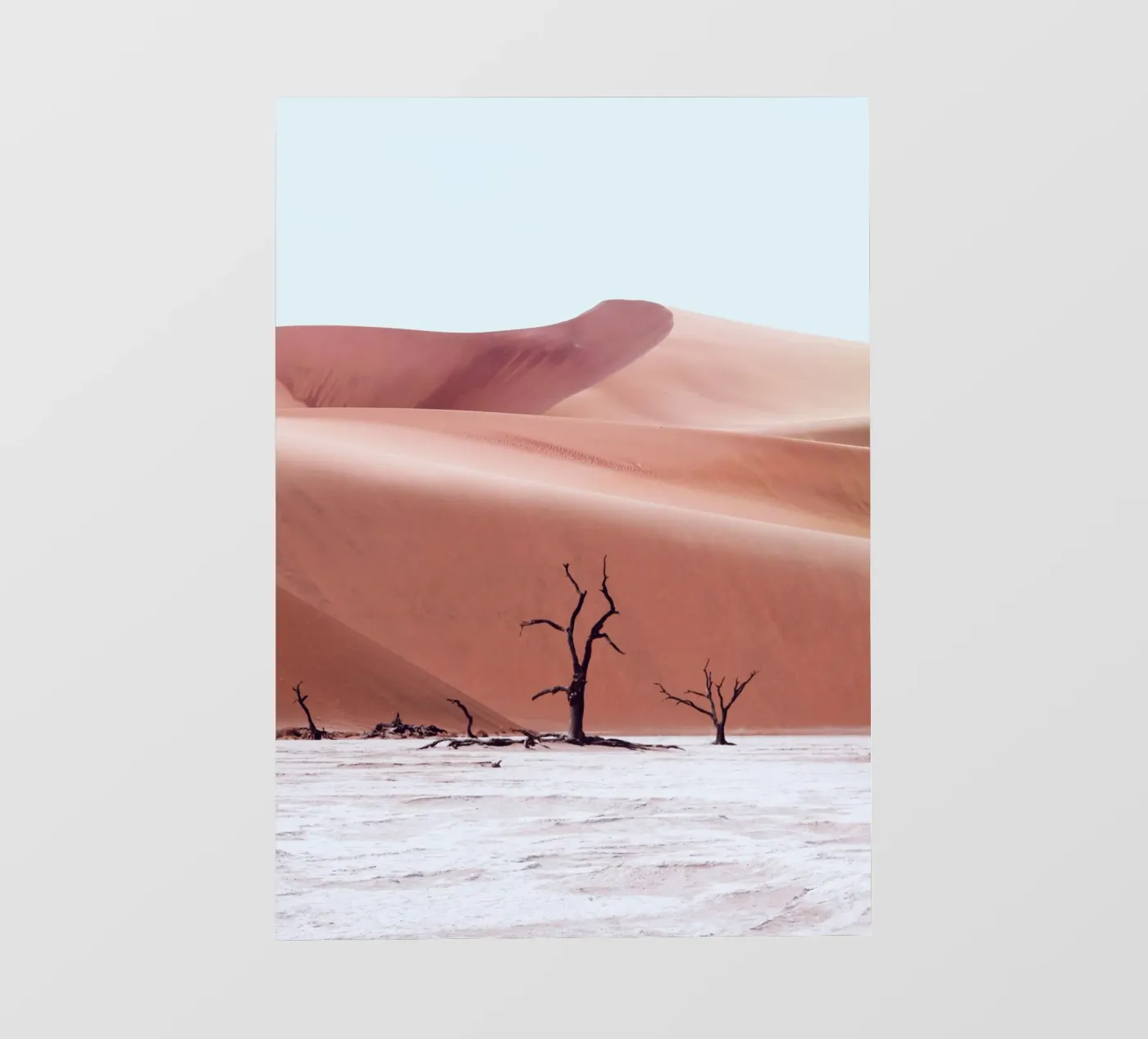 Oerbos Namibië fotobehang van arizrab