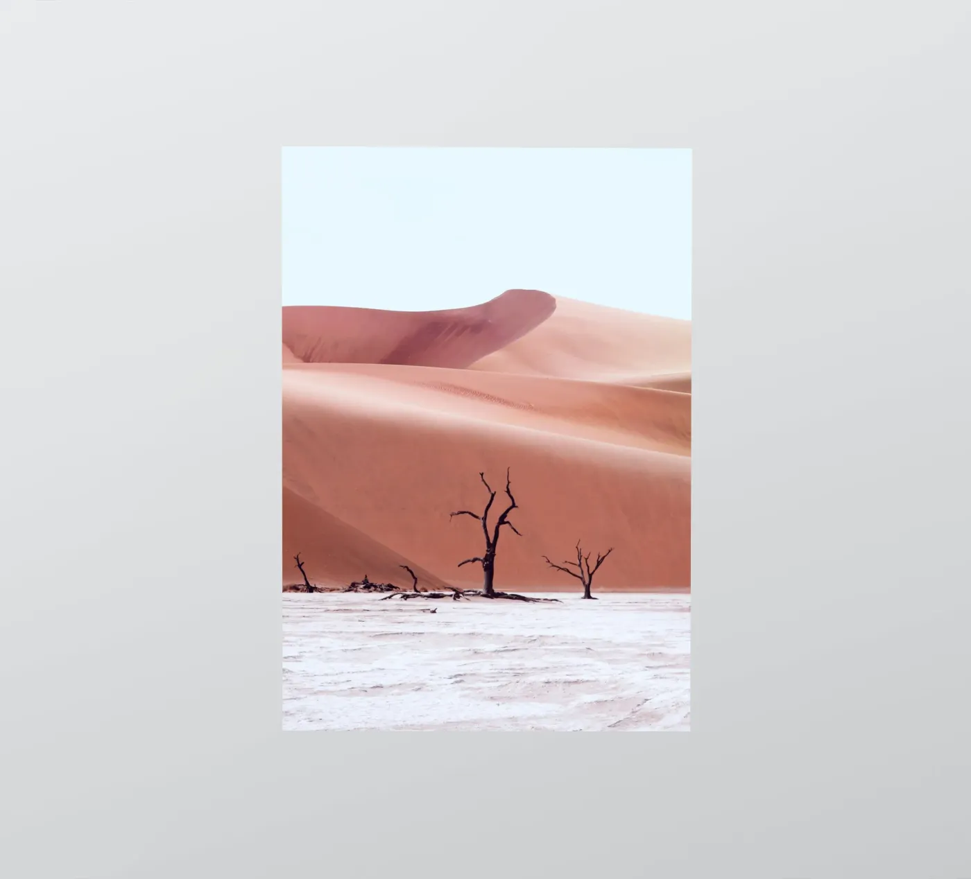 Urwald Namibia Sticker von arizrab