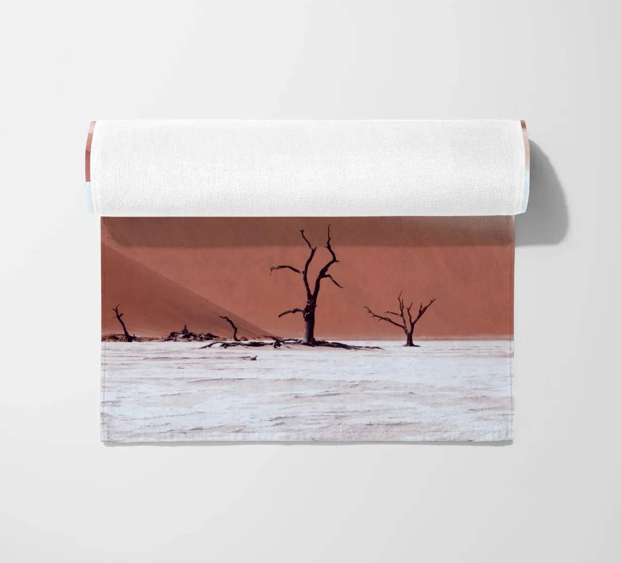 Foresta antica Namibia telo mare da arizrab