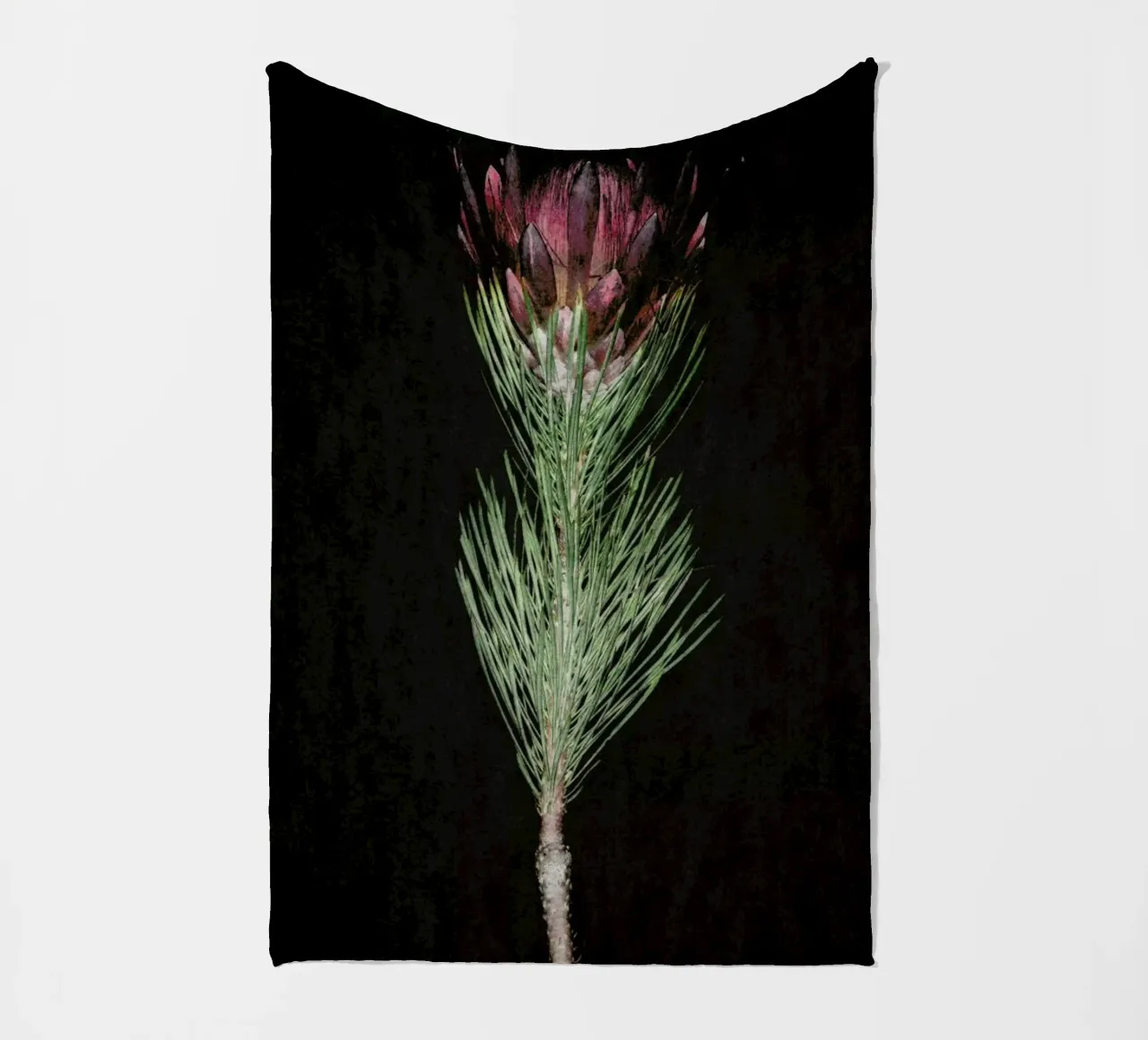 Fynbos Protea Fleecedecke von Shot By Clint