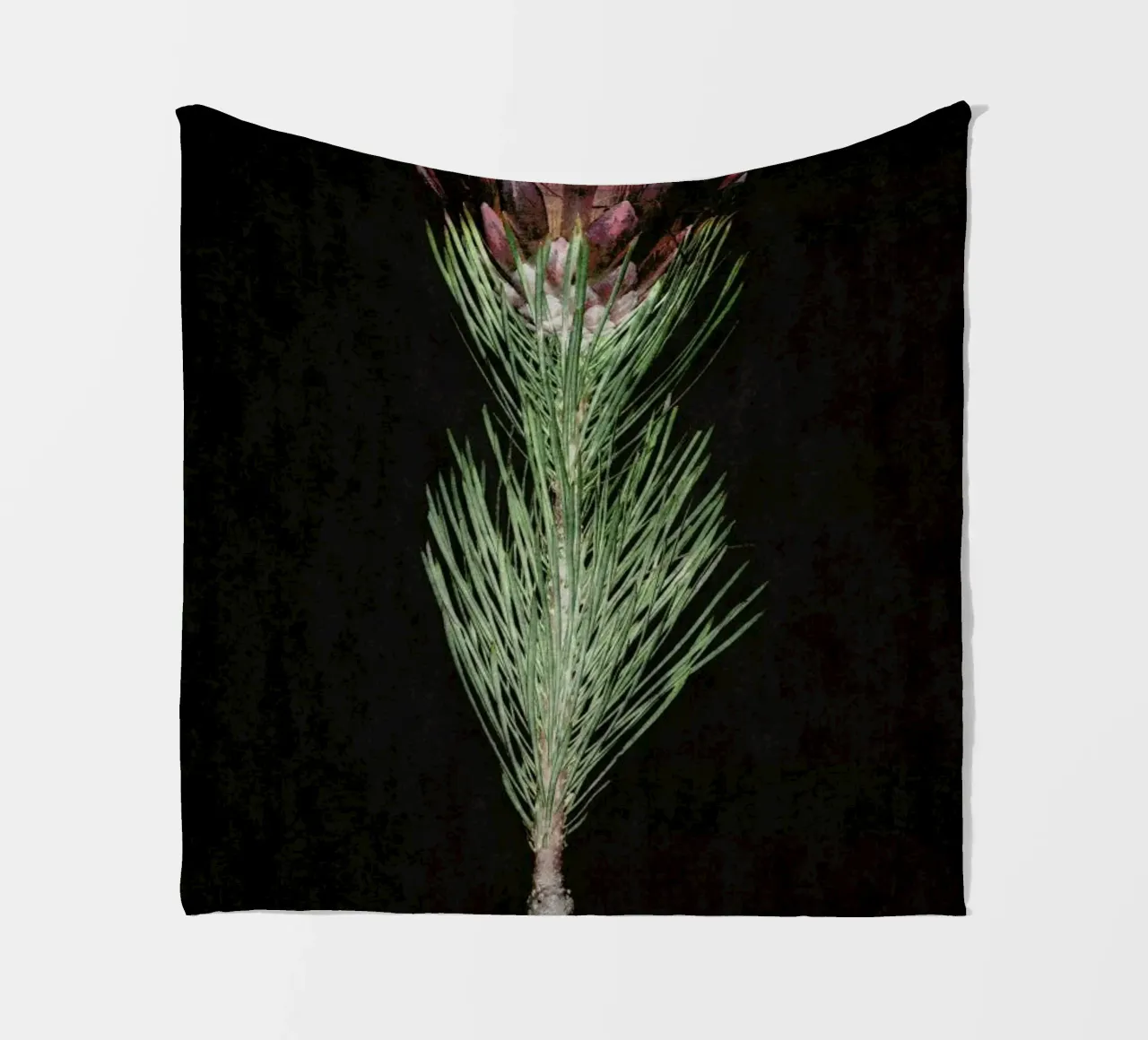 Fynbos Protea Fleecedecke von Shot By Clint