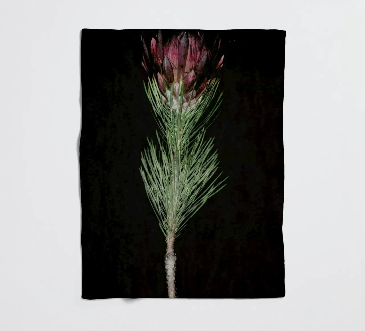 Fynbos Protea Fleecedecke von Shot By Clint