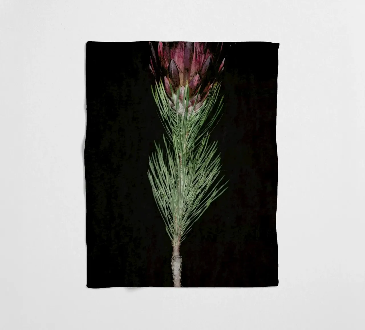 Fynbos Protea Fleecedecke von Shot By Clint