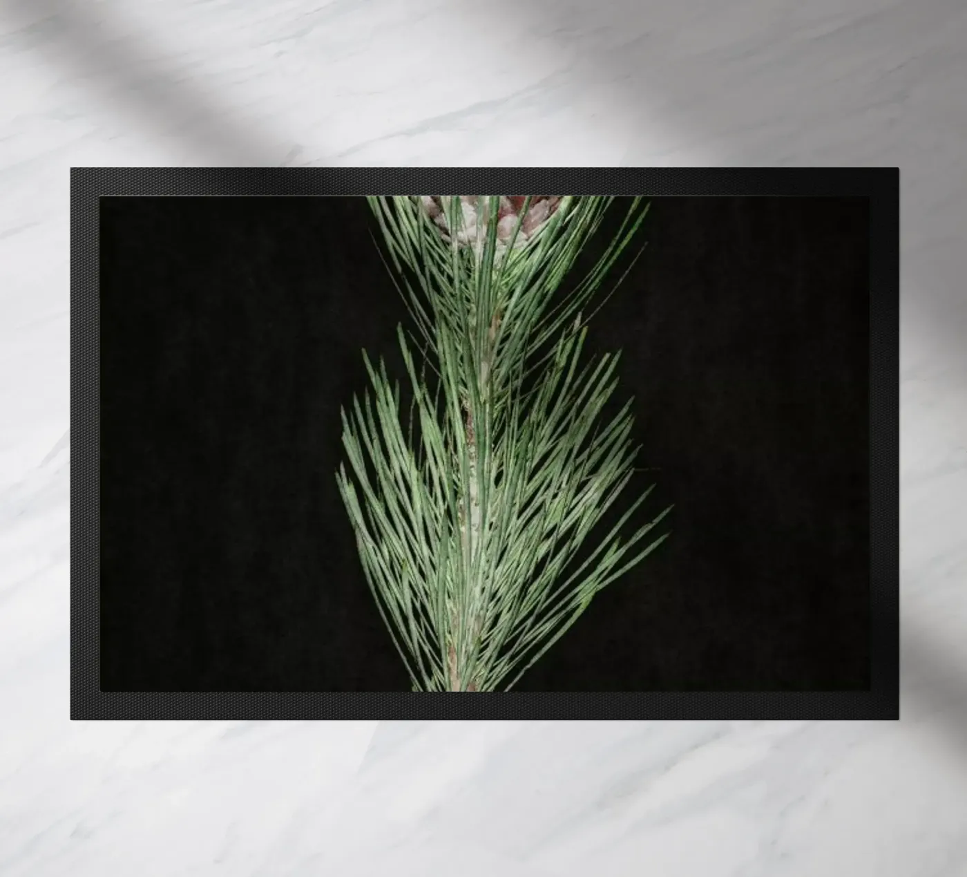 Fynbos Protea zerbino da Shot By Clint