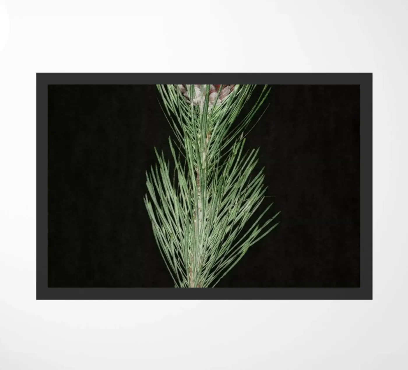 Fynbos Protea deurmat van Shot By Clint