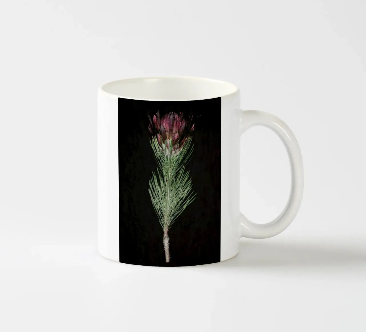 Fynbos Protea tazza in ceramica da Shot By Clint