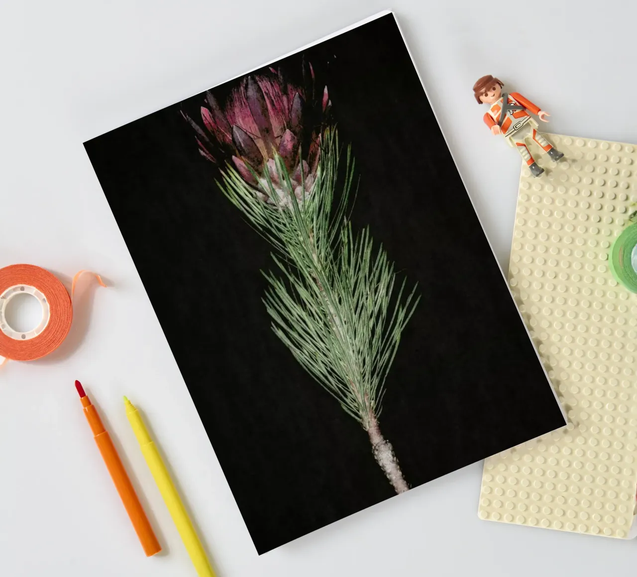 Fynbos Protea notebook by Shot By Clint