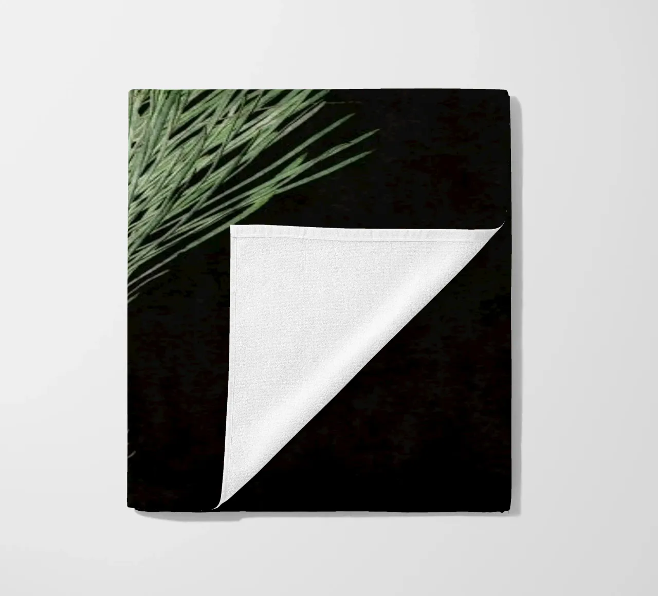 Fynbos Protea telo mare da Shot By Clint