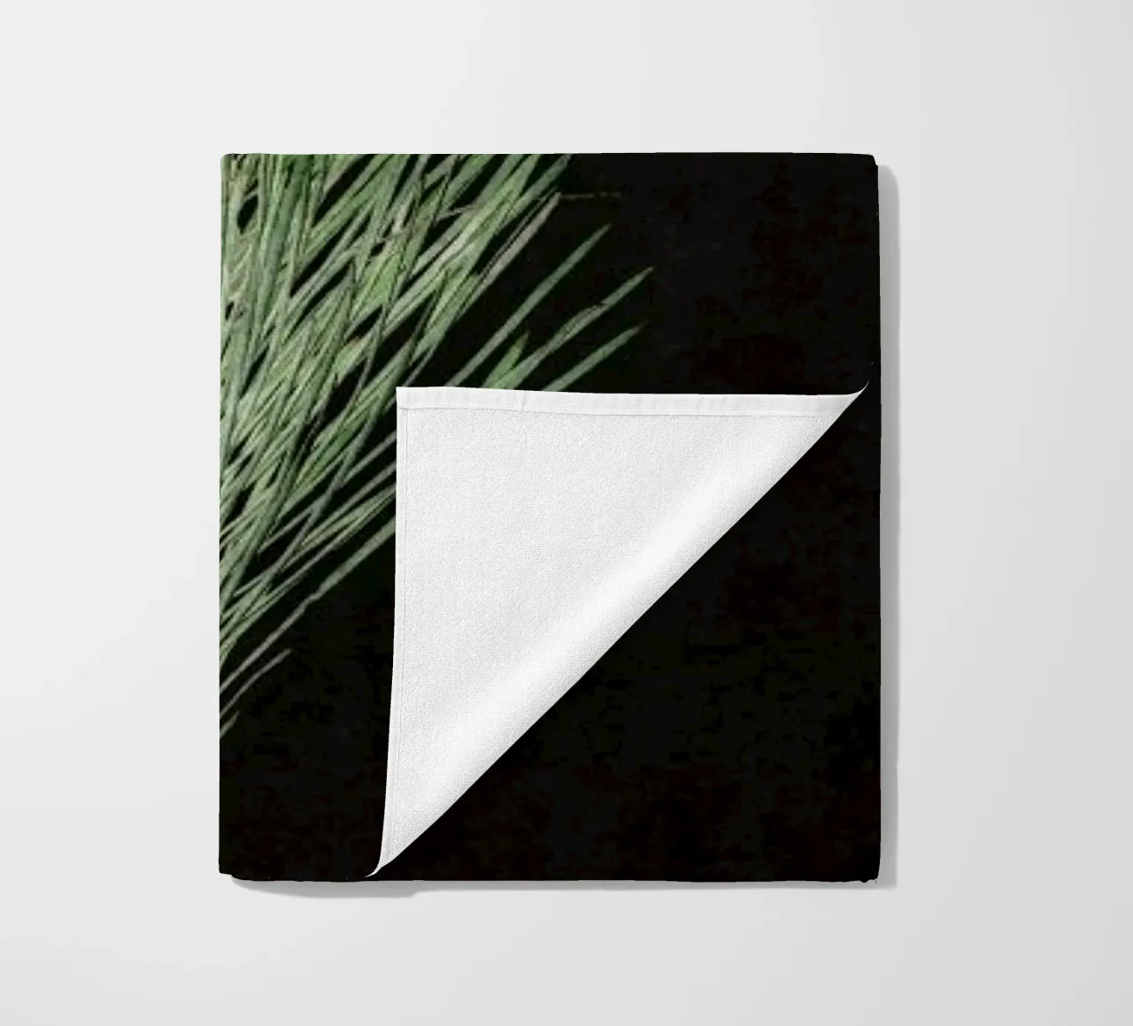 Fynbos Protea telo mare da Shot By Clint