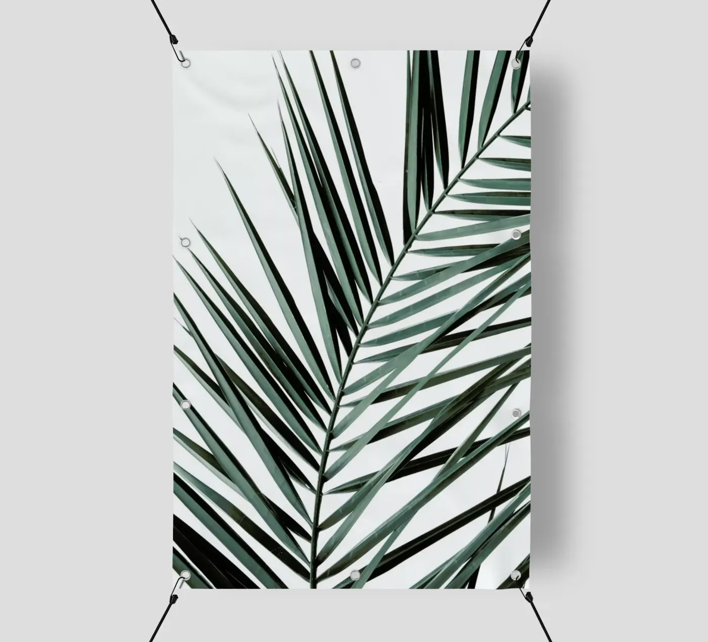 Phoenix telo in pvc da Shot By Clint