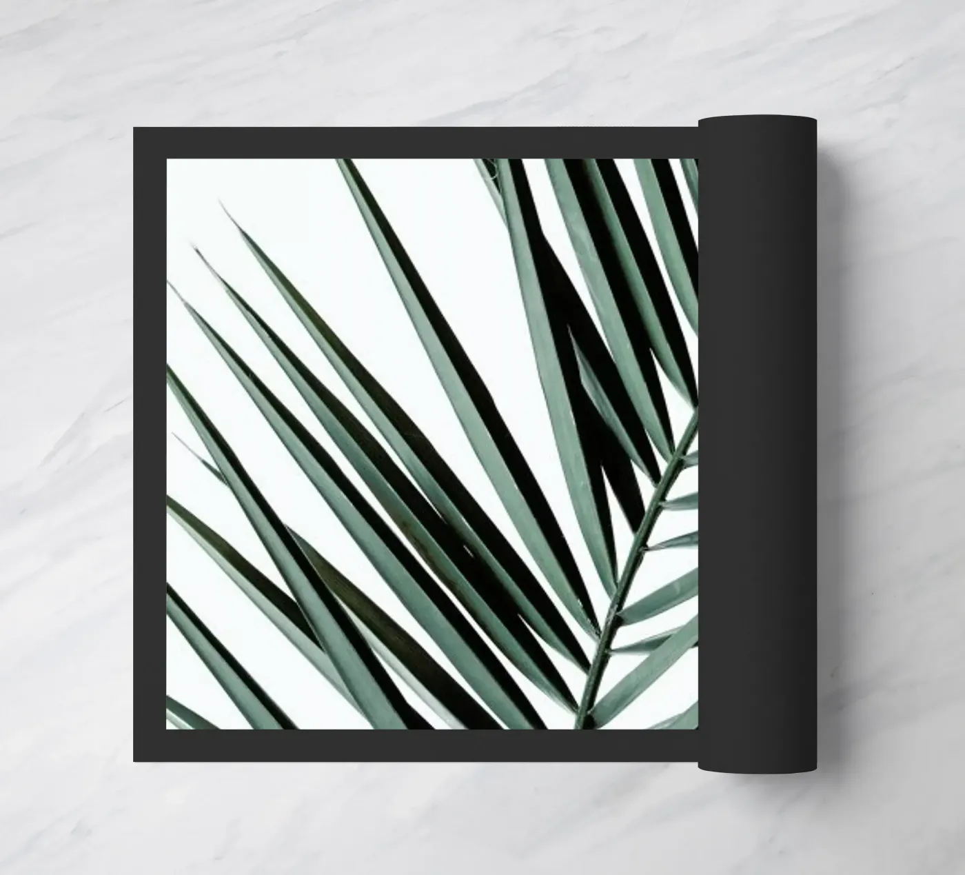 Phoenix zerbino da Shot By Clint