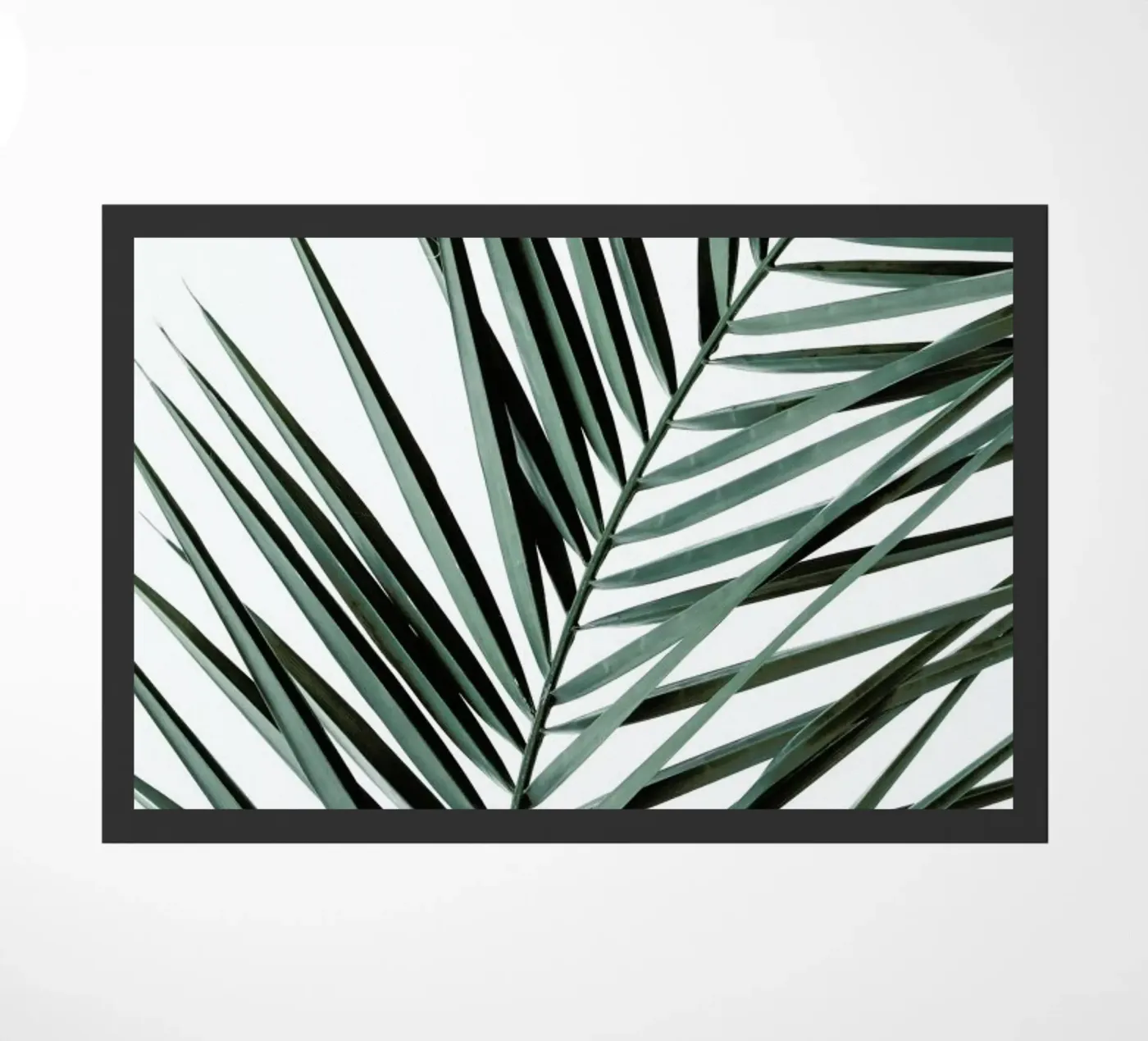 Phoenix zerbino da Shot By Clint