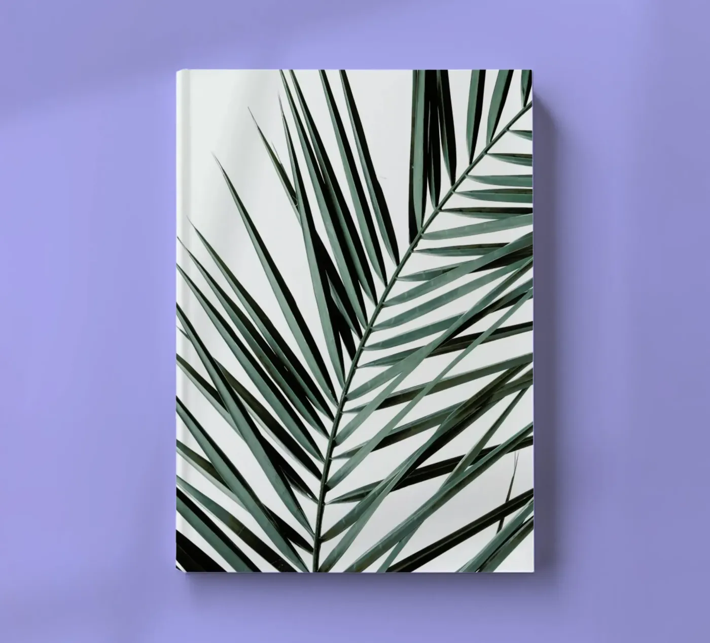 Phoenix notebook by Shot By Clint