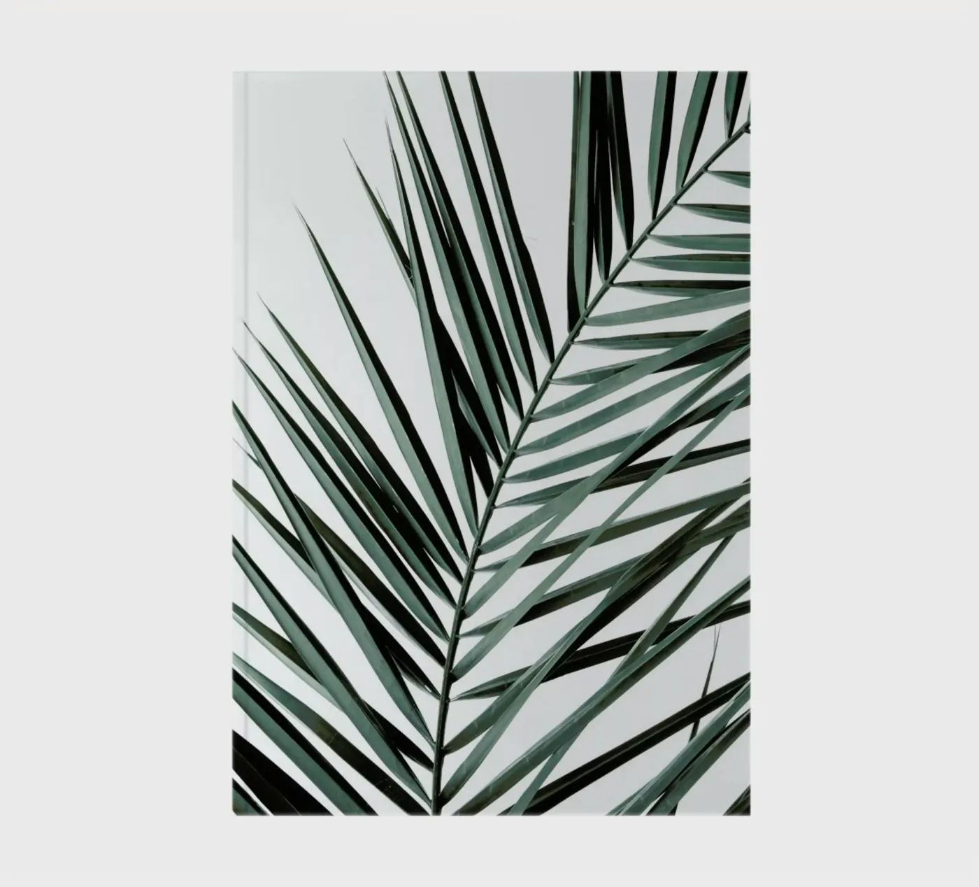 Phoenix notebook by Shot By Clint