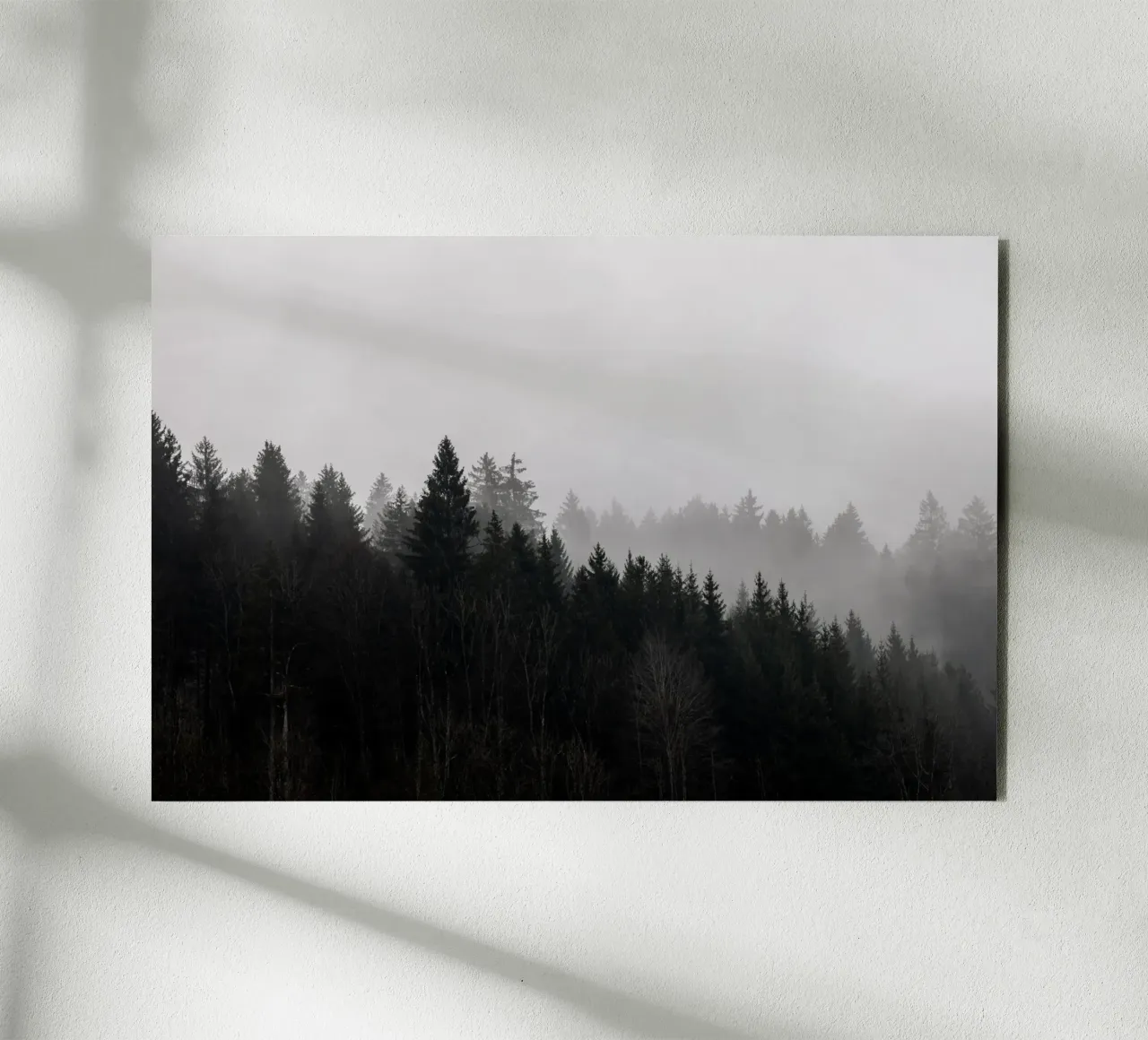 Foggy Woods 7 forex plate by Mareike Böhmer Photography