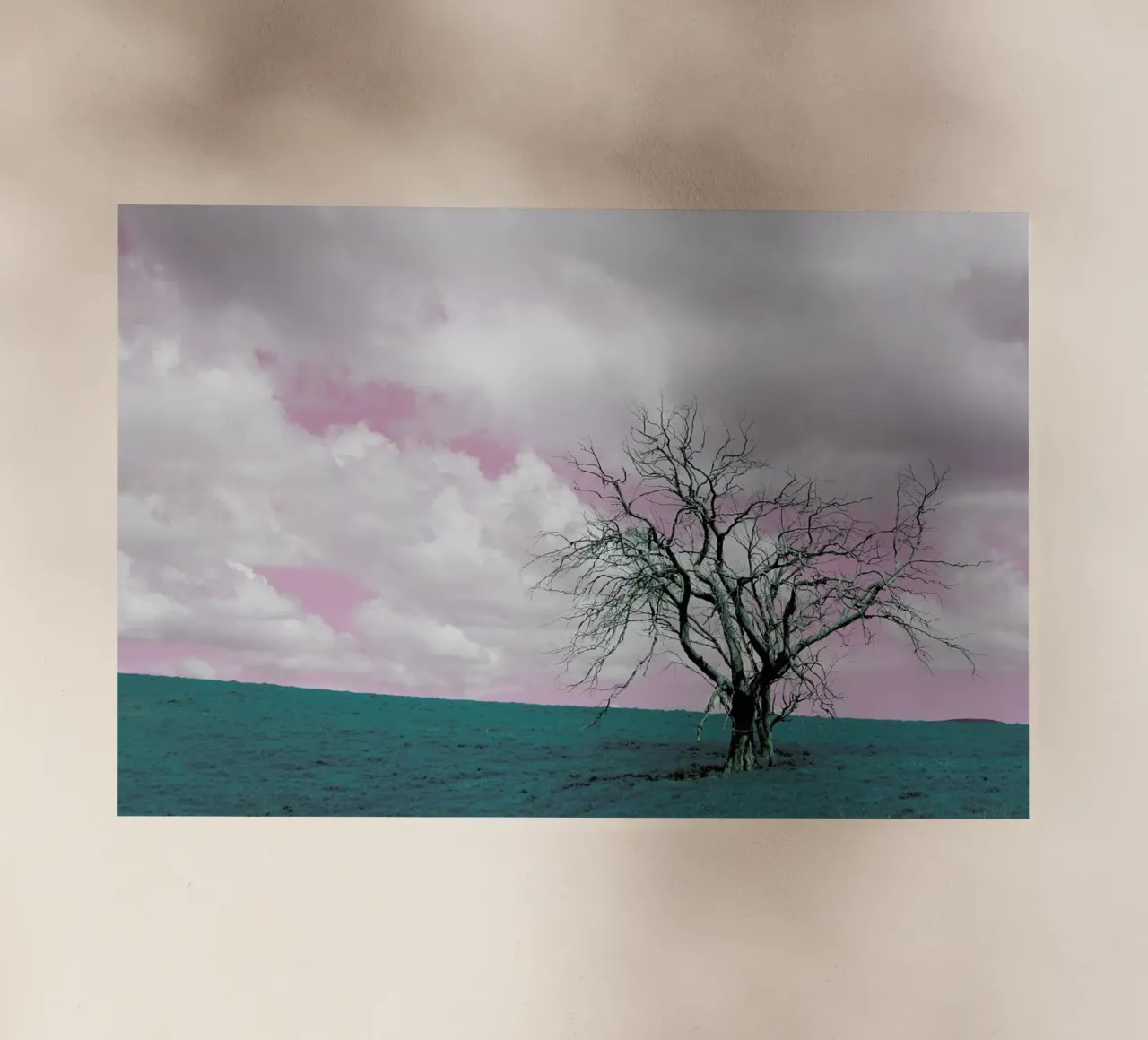 Midlands pellicola backlit da Shot By Clint