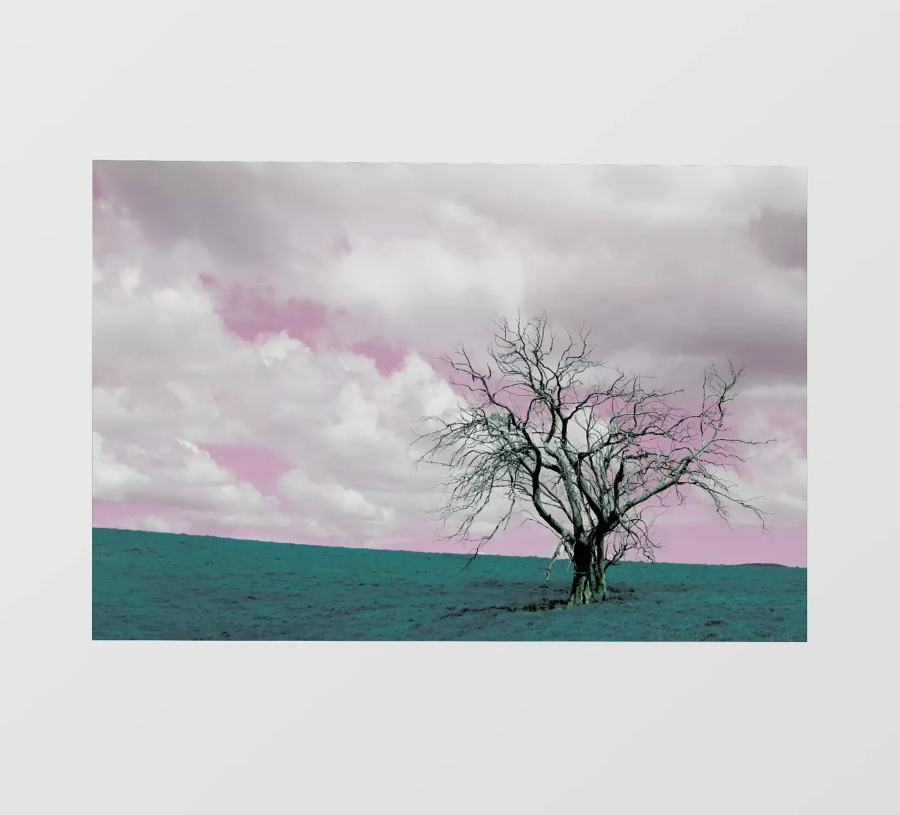 Midlands pellicola backlit da Shot By Clint