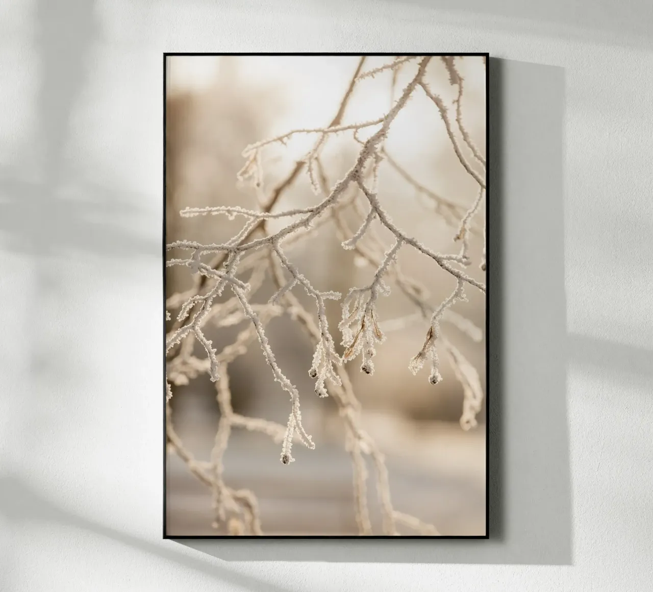 Hoarfrost 2 plexiglass da Mareike Böhmer Photography