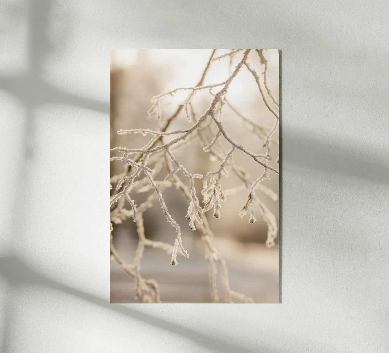 Hoarfrost 2 plexiglass da Mareike Böhmer Photography