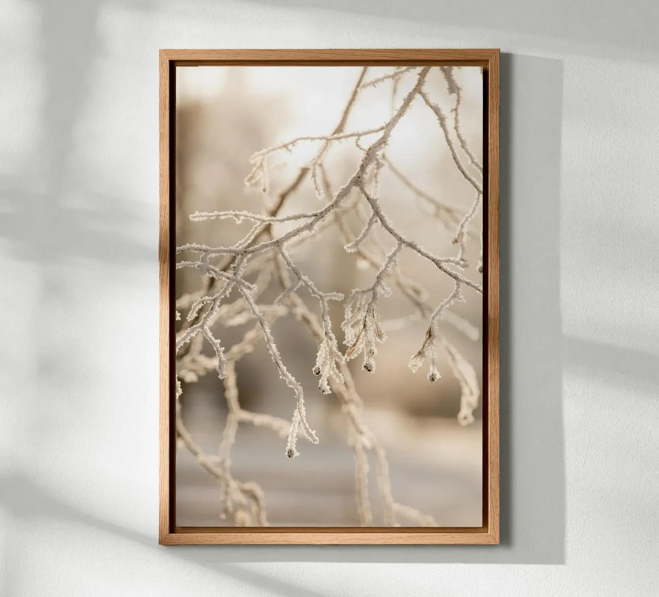 Hoarfrost 2 Leinwand von Mareike Böhmer Photography