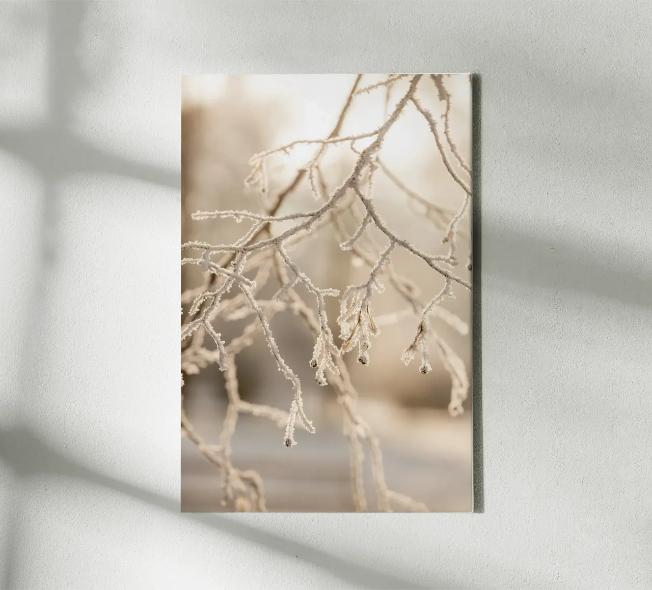 Hoarfrost 2 Leinwand von Mareike Böhmer Photography