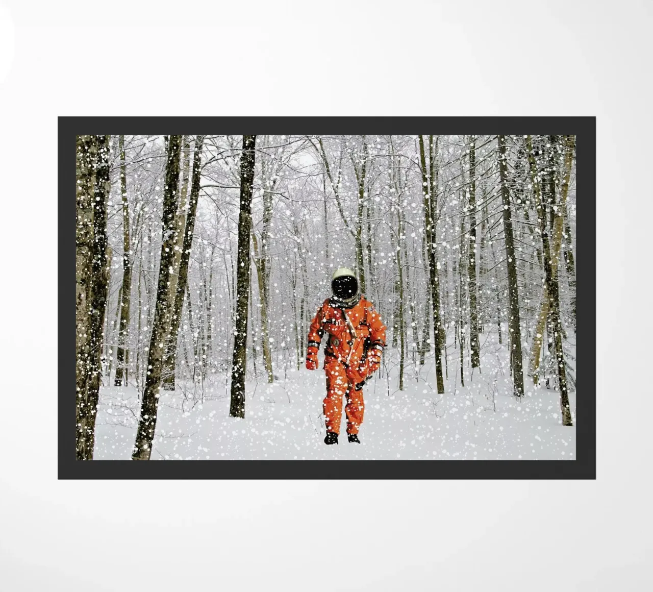 Lost in Colorado II zerbino da Jason Brueck